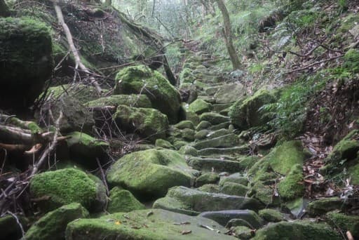 熊野古道