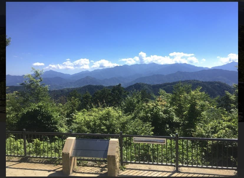 8月14日金曜日に高尾山登山参考画像:0