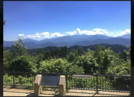 8月14日金曜日に高尾山登山