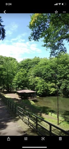 近場登山希望！
