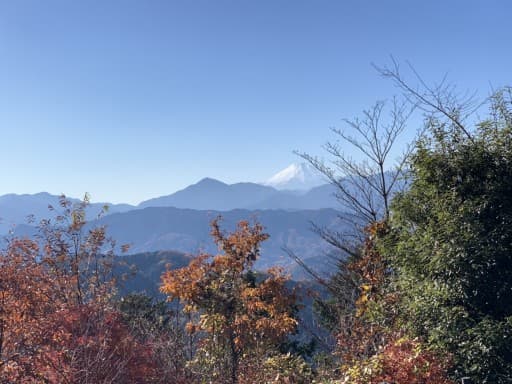 【日帰りコース】高尾山