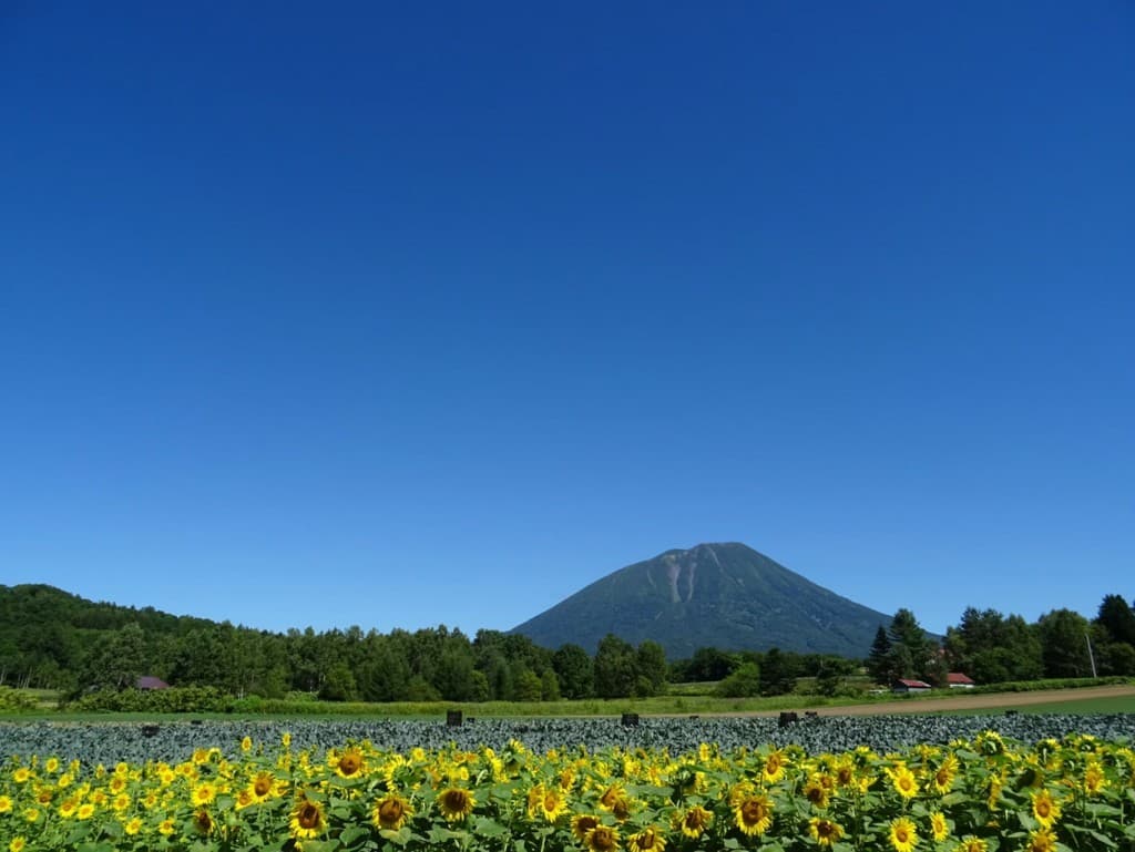 北の大地、羊蹄山！参考画像:0