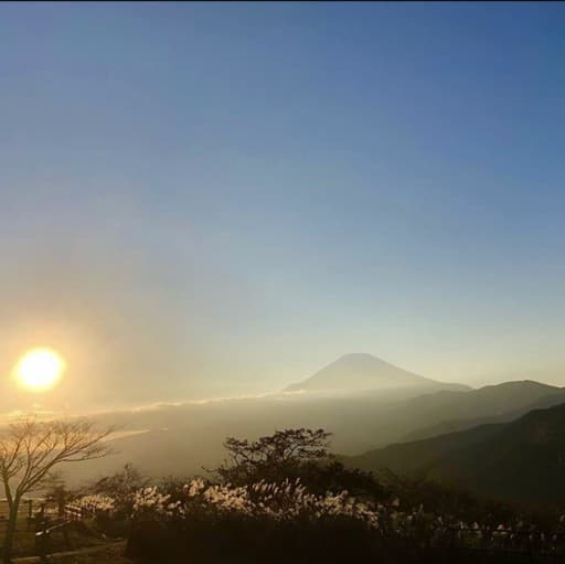 秋の大野山ハイキング