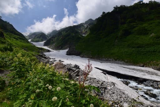 白馬岳 か 五竜岳 か 蓮華温泉/白馬大池