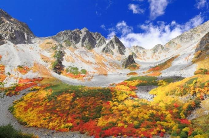 新宿発　紅葉の涸沢参考画像:0