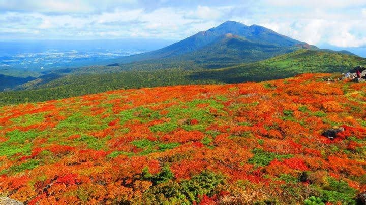 【紅葉登山】三ツ石山参考画像:0