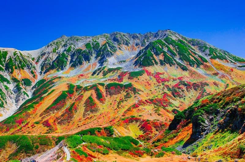 扇沢から立山　雷鳥沢テント泊　剱岳　立山三山参考画像:0
