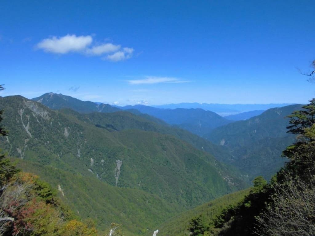 業務参考画像:1