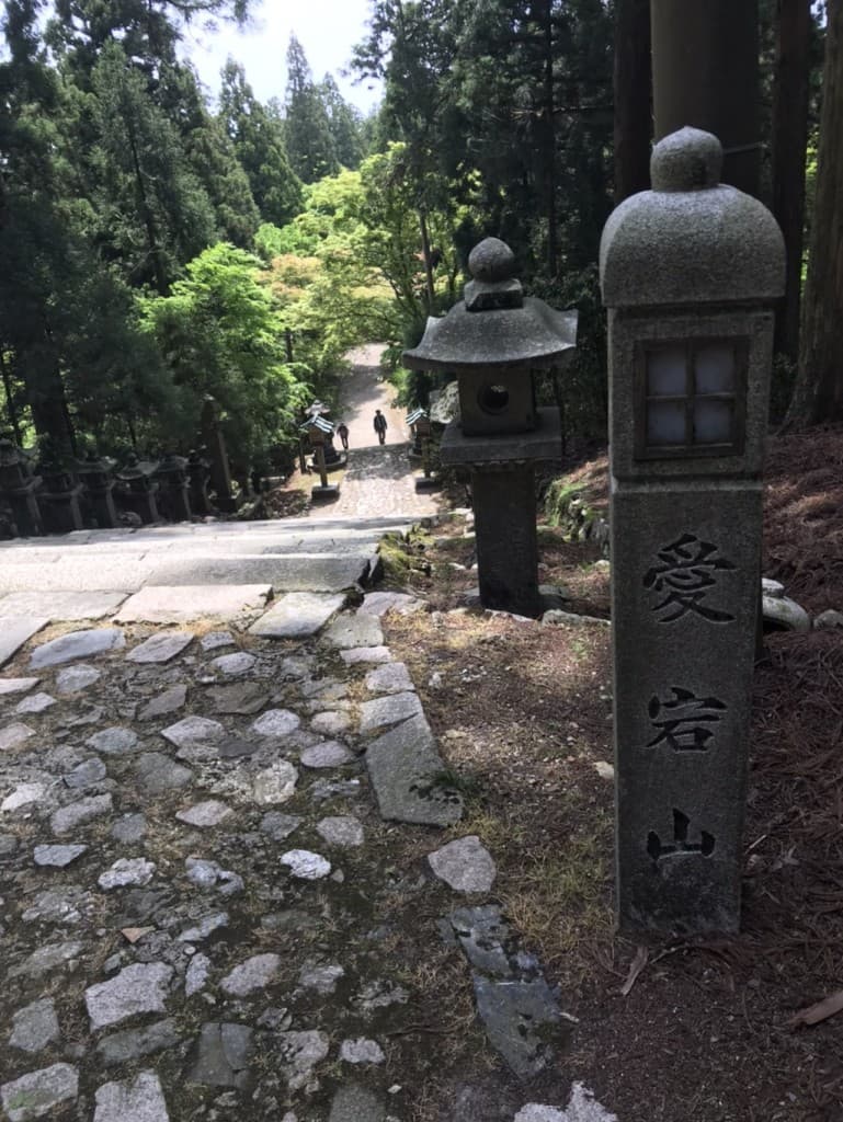 愛宕山登山参考画像:0