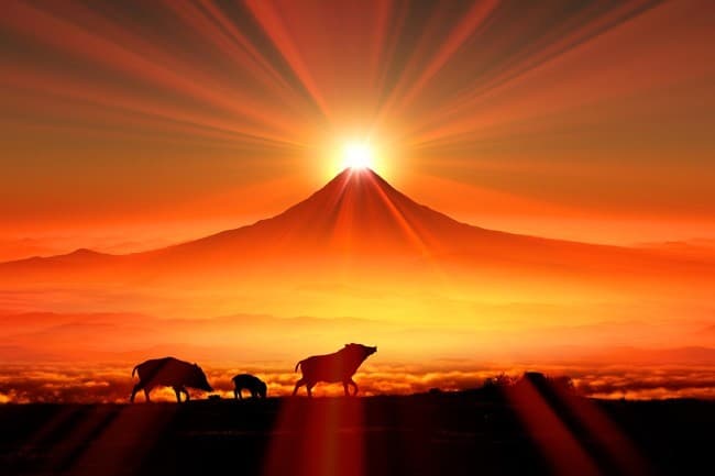 1/1 元旦　福岡初　どこかの山へ参考画像:0