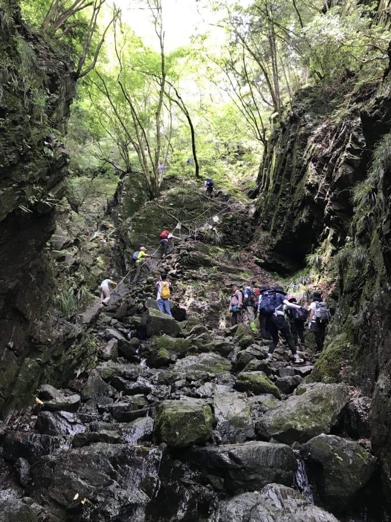 春の棒ノ折山でゆるゆるお花見ハイキング🌸参考画像:1