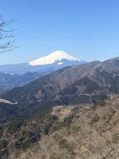 4月3日土曜日登山行きませんか?(御岳山or鍋割山or陣場山