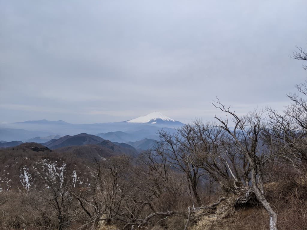 4/25(日)登山行きませんか？参考画像:0