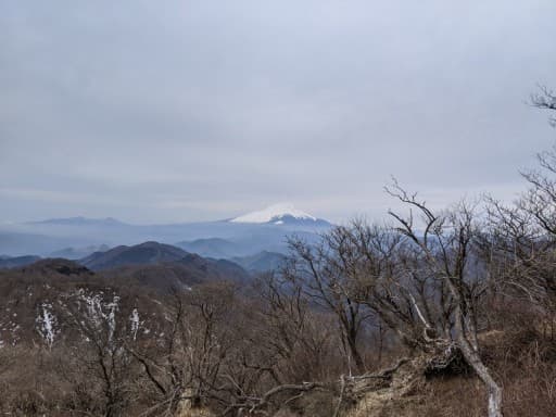 4/25(日)登山行きませんか？
