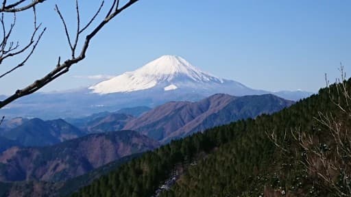 5/23丹沢山