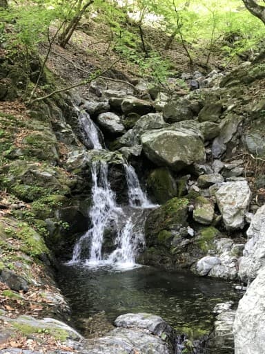 6月12日(土)棒ノ折山参考画像:0