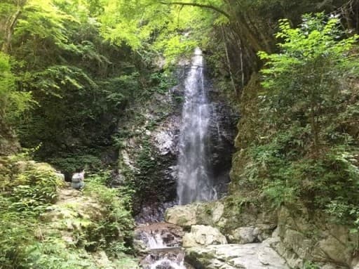 6/12(土)浅間嶺登って払沢の滝 武蔵五日市駅 10:00参考画像:1