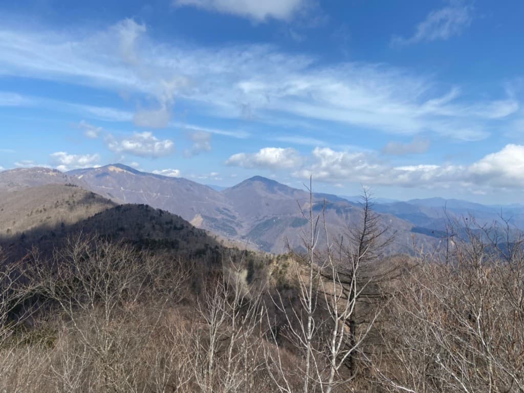 6/13(日)登山（奥多摩、丹沢、高尾とか)参考画像:0