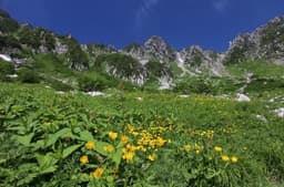 ※募集締切※【中央アルプス】日帰り 百名山 木曽駒ヶ岳！