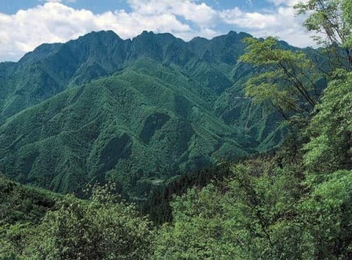 『初心者専用🔰』まったり登山サークル💫単発メンバー募集！参考画像:0