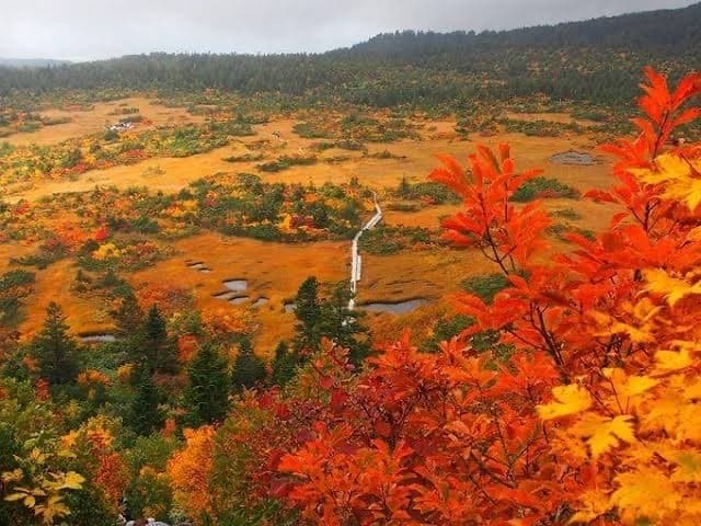 9/25,26 都内発 岩木山、八甲田山参考画像:0