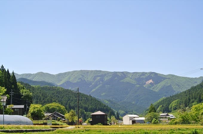 9/11（土）【奈良県】ヤマハハコの三峰山（大阪市内発）参考画像:0