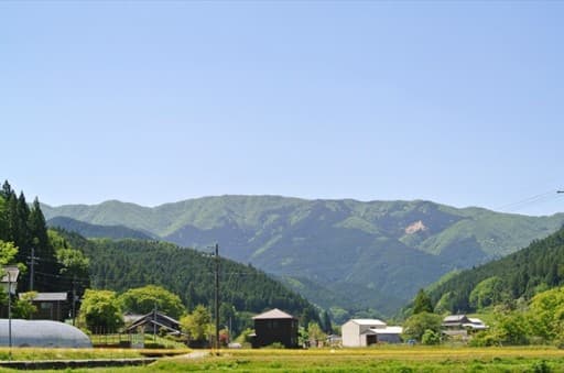 9/11（土）【奈良県】ヤマハハコの三峰山（大阪市内発）