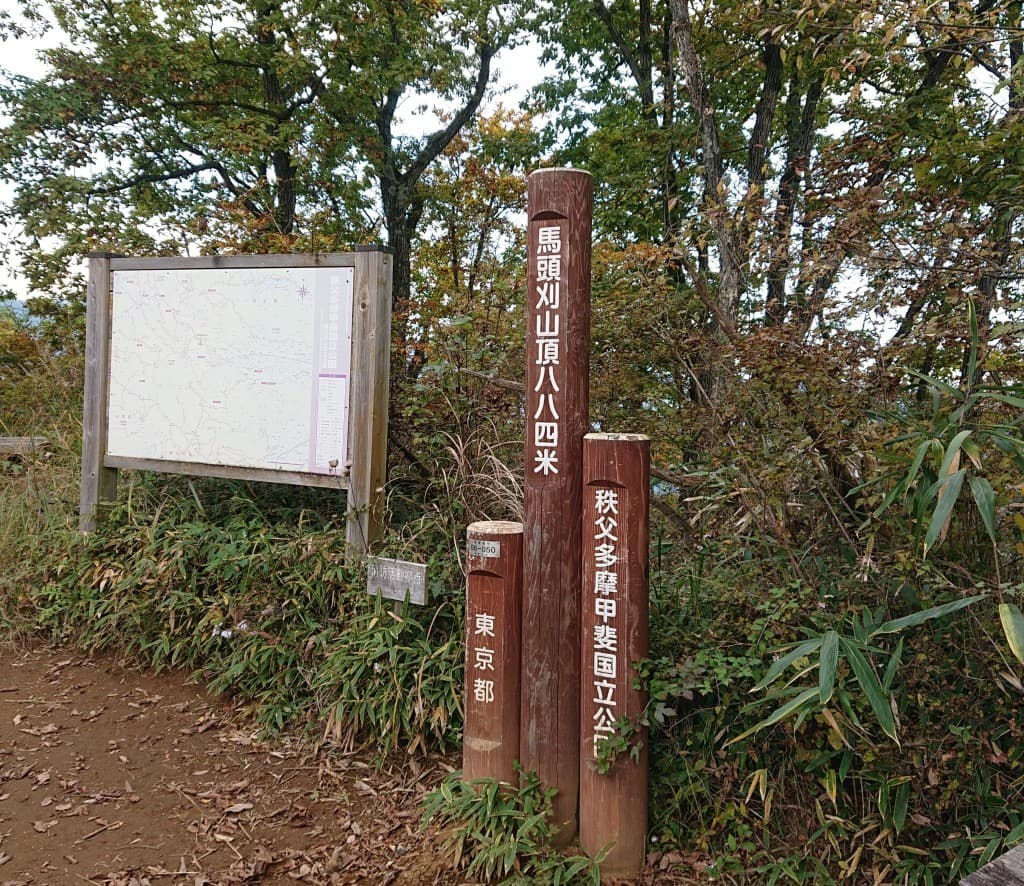 8月28日(土) 五日市・馬頭刈尾根周回参考画像:0