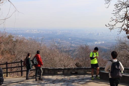 一緒に高尾山へ登りませんか