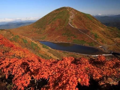 【催行】9/26(日)秋田駒ヶ岳