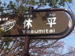 tawa_C