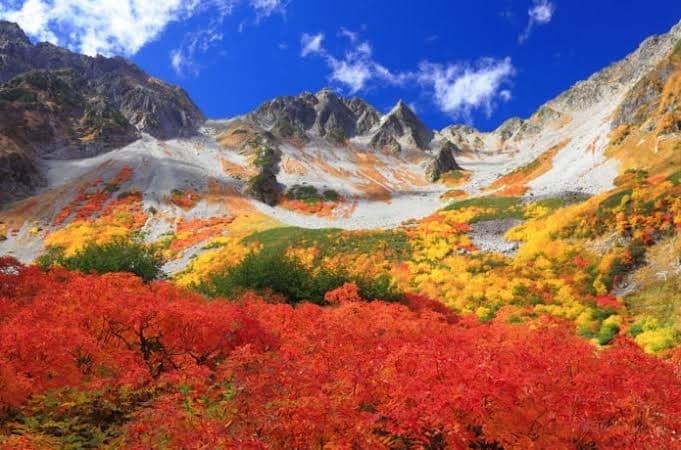 涸沢カールで晩酌参考画像:0