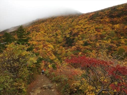 10/10（日）安達太良山　紅葉登山　日帰り参考画像:2