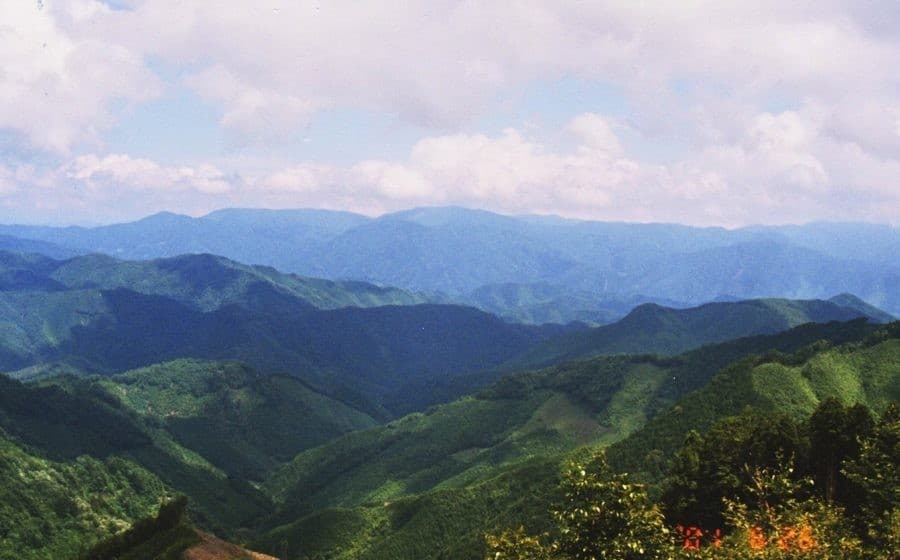 11/6（土）【兵庫県】ブナの極楽尾根・三久安山（大阪市内発）参考画像:0