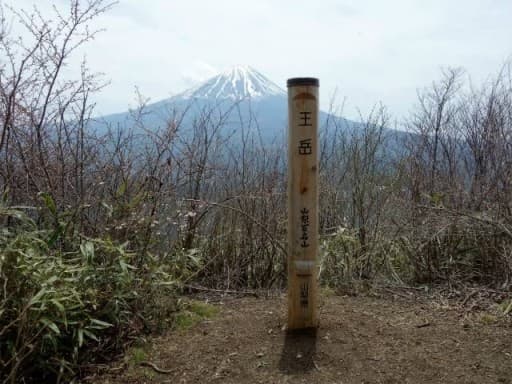 11/7(日)鬼ヶ岳→王岳縦走に行ける方、募集！