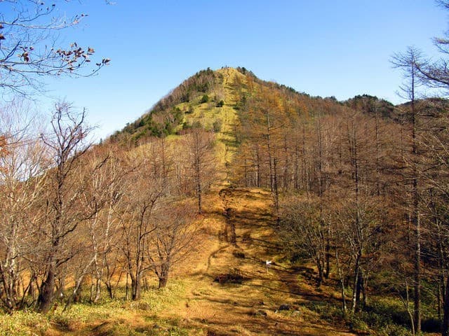 【満員御礼】10/24(日)紅葉の笠取山 同行者募集【初級者向け・東京/埼玉発】参考画像:0