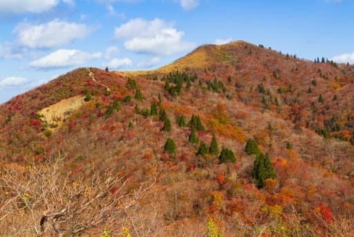 11/13（土）【滋賀県】紅葉みごろの武奈ヶ岳（大阪市内発）