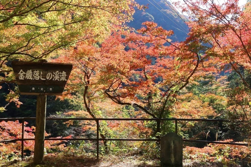 2021/11/20（土）三峰口駅から三峯神社奧宮遙拜殿参考画像:0