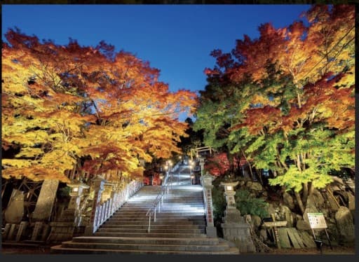 11/20(土曜日)大山の紅葉ライトアップ(悪天候の場合は中止)参考画像:1