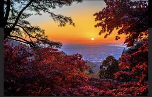 11/20(土曜日)大山の紅葉ライトアップ(悪天候の場合は中止)参考画像:2