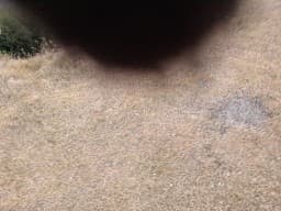 yucoco