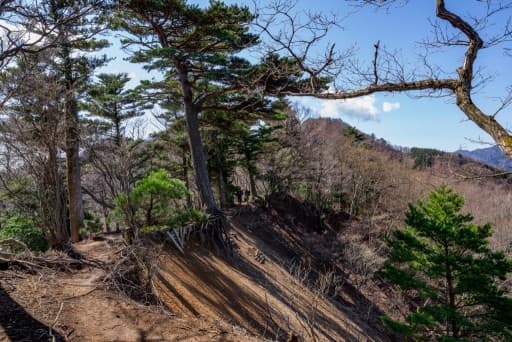 男女各2名参加予定：大山三峰山