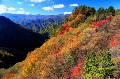 【秩父・両神山】「あと1名！」12月11日晴れ予報、都内近傍の方募集します！参考画像:1