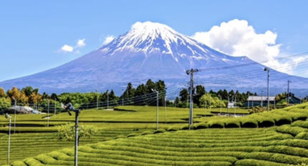 12/11土に愛鷹山へ登りませんか？参考画像:0
