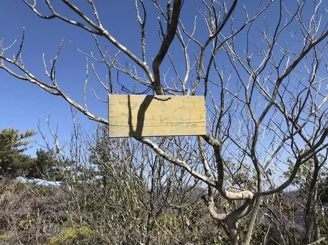 【定員締切】12/26(日)マムシ岳に行きたい方！参考画像:1