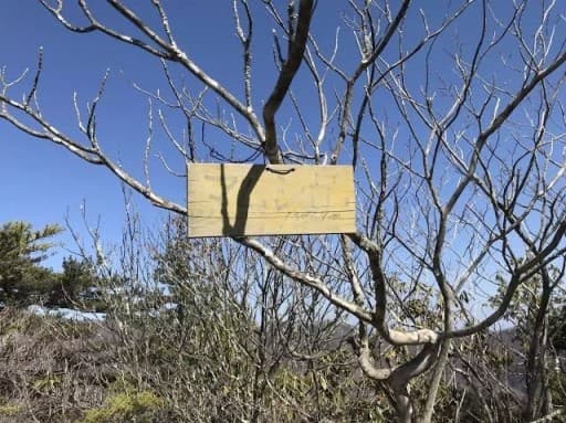 【定員締切】12/26(日)マムシ岳に行きたい方！参考画像:1