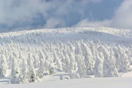 2/11-13 秋田駒ヶ岳と森吉山