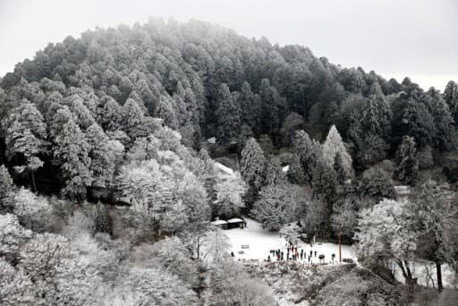 登り納め金剛山ご一緒していただける方🙋‍♀️