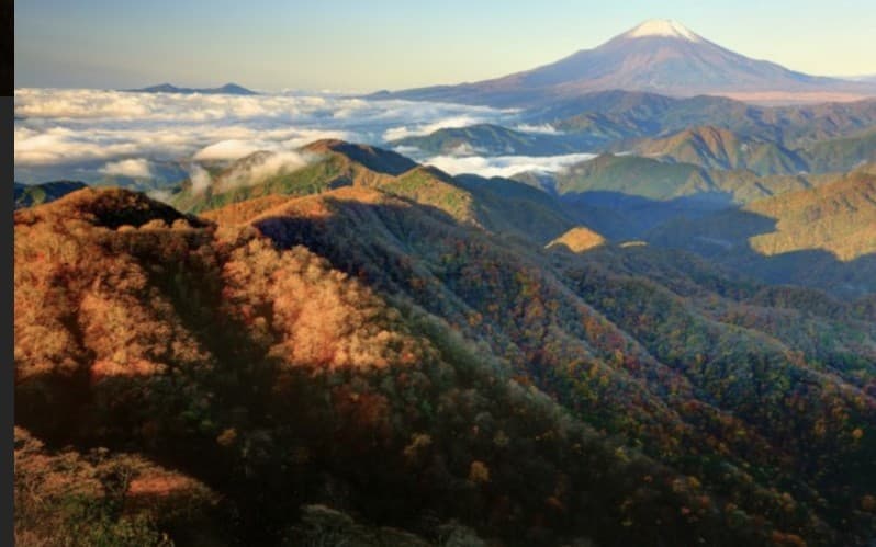 1/3近場で登山参考画像:0