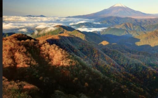 1/3近場で登山
